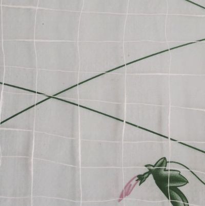 點(diǎn)擊查看詳細(xì)信息<br>標(biāo)題：純棉竹節(jié)紗 閱讀次數(shù)：2636