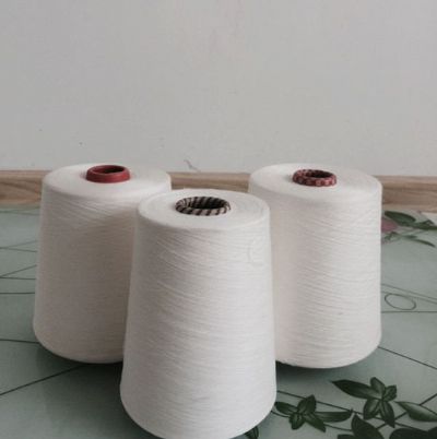 點擊查看詳細(xì)信息<br>標(biāo)題：賽絡(luò)紡人棉紗 閱讀次數(shù)：2746
