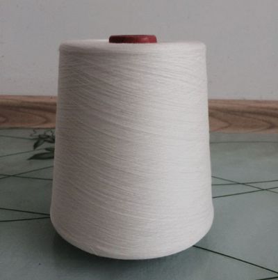 點擊查看詳細(xì)信息<br>標(biāo)題：緊密賽絡(luò)紡人棉紗 閱讀次數(shù)：3140