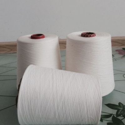 點擊查看詳細(xì)信息<br>標(biāo)題：環(huán)錠紡人棉紗 閱讀次數(shù)：2697