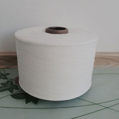 點擊查看詳細(xì)信息<br>標(biāo)題：氣流紡滌綸紗 閱讀次數(shù)：2365