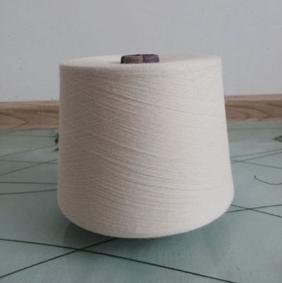點(diǎn)擊查看詳細(xì)信息<br>標(biāo)題：精梳純棉紗 閱讀次數(shù)：2863