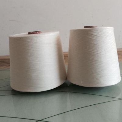 點擊查看詳細信息<br>標(biāo)題：賽絡(luò)紡竹纖維 閱讀次數(shù)：2734