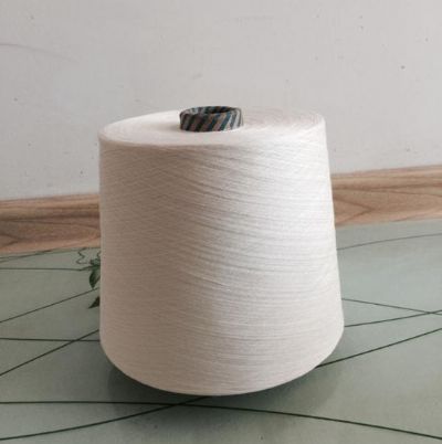 點擊查看詳細信息<br>標(biāo)題：白竹炭紗（粘膠載體） 閱讀次數(shù)：2671
