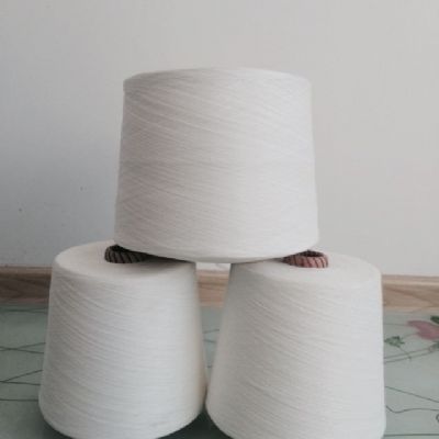 點擊查看詳細(xì)信息<br>標(biāo)題：仿大化滌綸紗 閱讀次數(shù)：4815