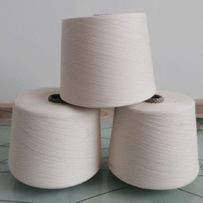 點(diǎn)擊查看詳細(xì)信息<br>標(biāo)題：棉粘混紡紗 閱讀次數(shù)：4800