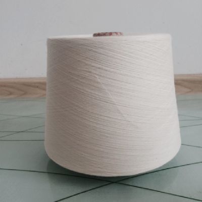 點擊查看詳細信息<br>標題：緊密賽絡紡竹纖維紗 閱讀次數(shù)：4359