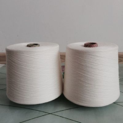點(diǎn)擊查看詳細(xì)信息<br>標(biāo)題：阻燃腈綸紗 閱讀次數(shù)：4933