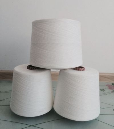點(diǎn)擊查看詳細(xì)信息<br>標(biāo)題：阻燃滌綸紗 閱讀次數(shù)：4639